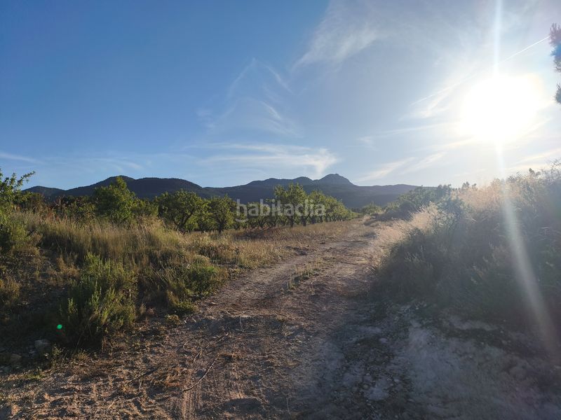Foto a8aecd79-b045-4e23-8ffe-9859515e718d. Finca rústica a Moratalla