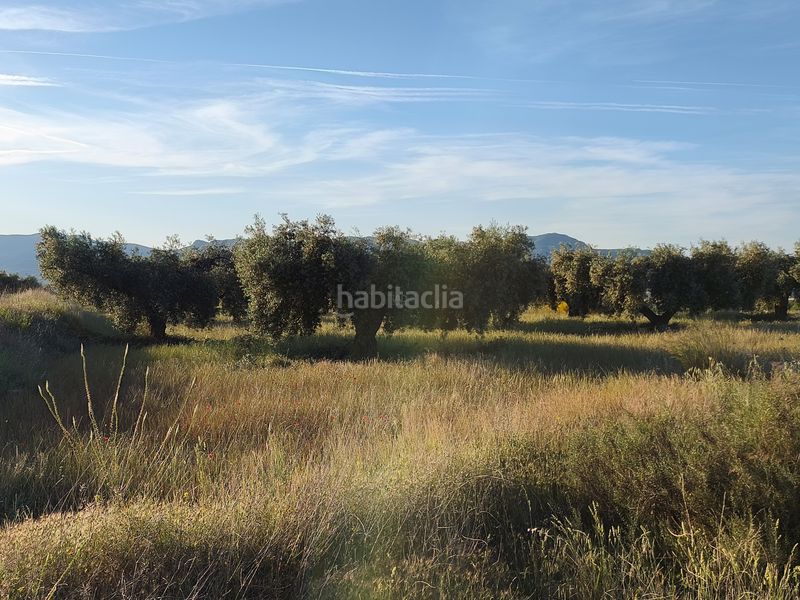 Foto c8c56aaa-de60-4859-982b-3326adefc817. Finca rústica a Moratalla