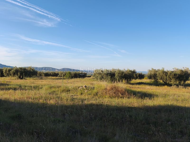 Foto cdffbe7a-b0ec-4821-a041-d84fdab6ddd2. Finca rústica a Moratalla