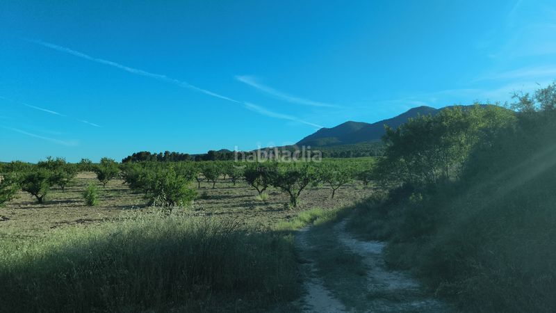 Foto 4c52ff97-ff70-4bdd-9708-756cabf257e2. Finca rústica en Moratalla