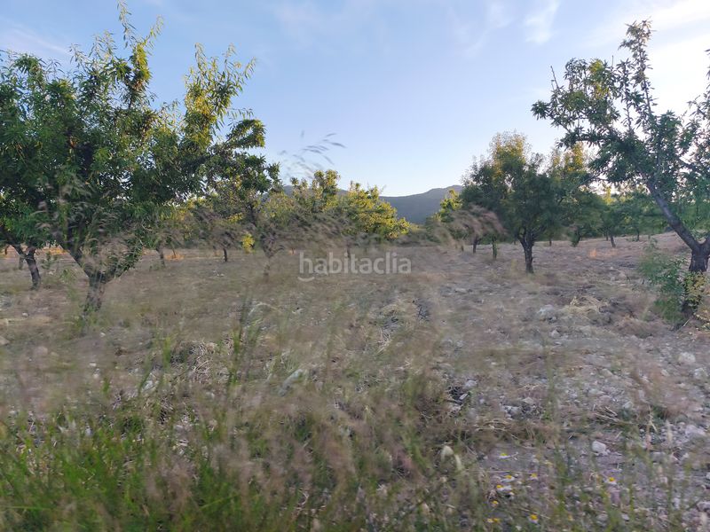 Foto 4e5e103e-25f2-4971-9ba0-75a365ee56e9. Finca rústica en Moratalla