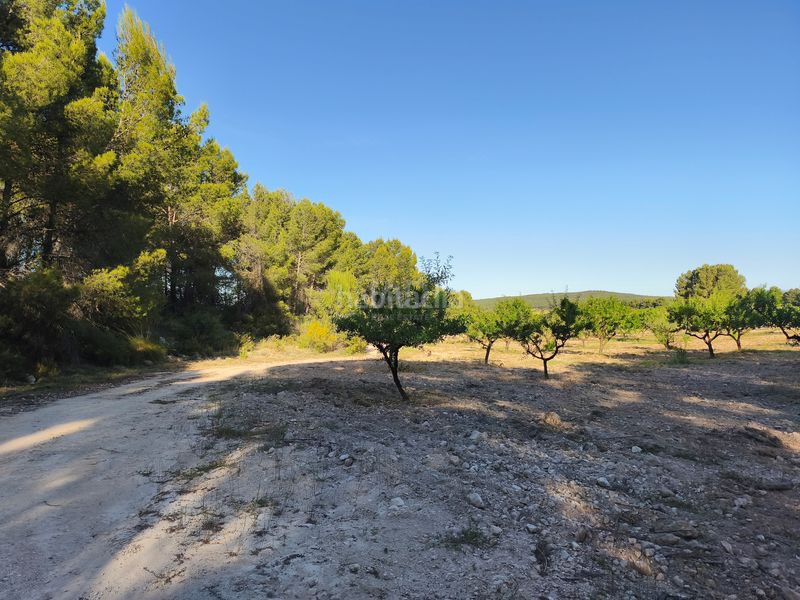 Foto 6333d255-bd17-446a-8ea0-296e609e8968. Finca rústica en Moratalla