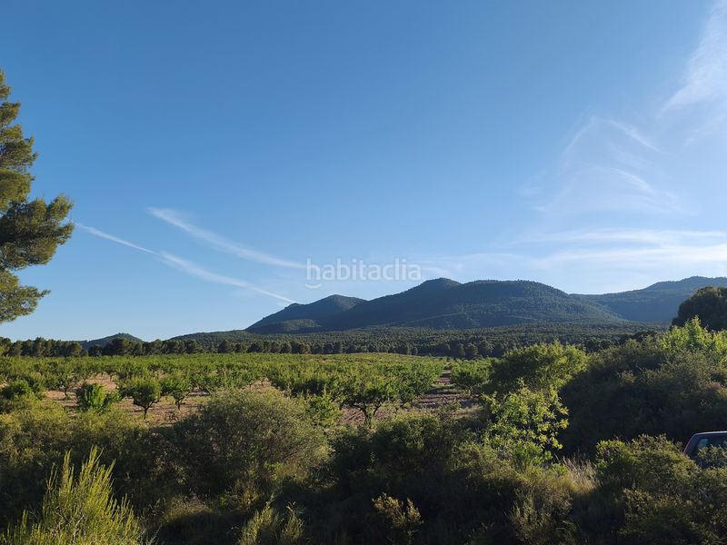 Foto 645c54e7-6999-4940-aa9a-a033021d6d94. Finca rústica en Moratalla