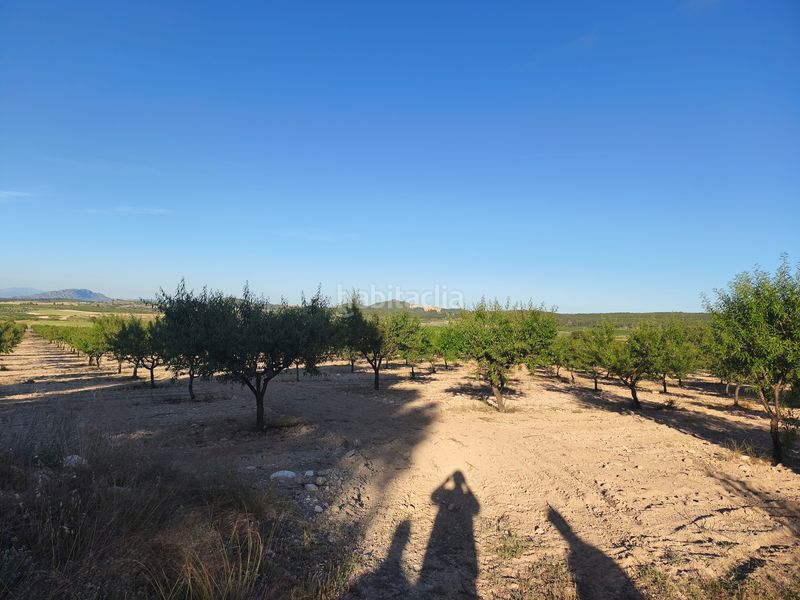 Foto ad277003-51c3-46a7-a95c-e45ce77443a5. Finca rústica en Moratalla