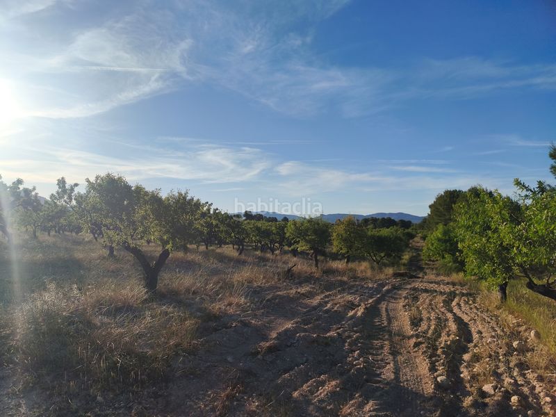 Foto ce482e99-d998-46a7-aa22-3602a5672750. Finca rústica en Moratalla