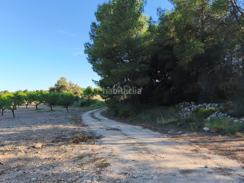Foto d8c9e643-5097-4f0c-9024-153c2d8185f0. Finca rústica en Moratalla