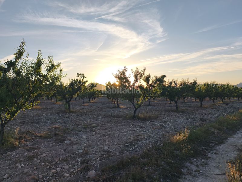 Foto f7297422-528c-4073-92c9-4092f93a2cc5. Finca rústica en Moratalla