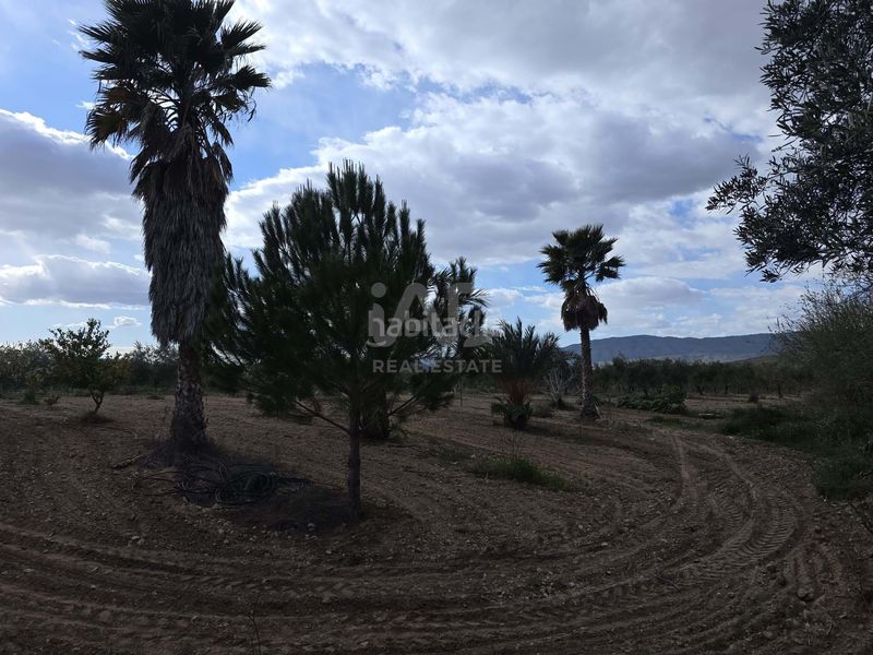 Foto 6a64859b-3258-4081-a0c6-5d1c375c85a8. Casa amb piscina a Jumilla