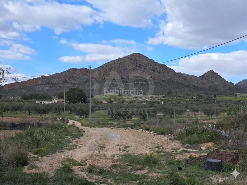 Foto 70f18e57-1451-4b68-90a1-8f6df6a48a74. Casa amb piscina a Jumilla