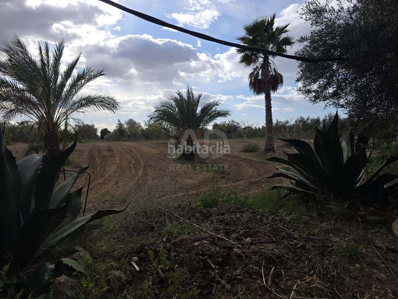 Foto 7c51ff11-9ead-4e26-a122-752ee4b9b6d2. Casa amb piscina a Jumilla