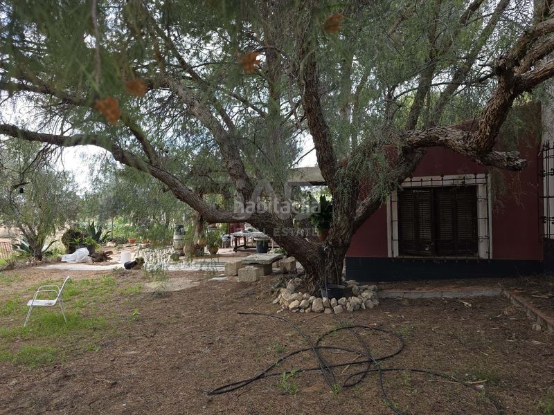 Foto aa22f5f7-e9c1-4e32-8b93-8aaf0f78adf7. Casa amb piscina a Jumilla