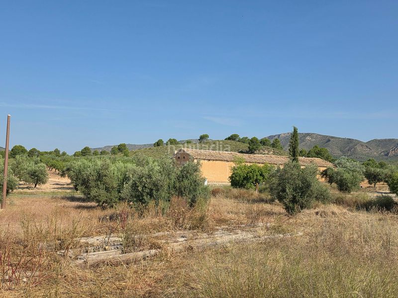 Foto 42108c68-0b27-4a28-a8ac-40c46bb0100a. Finca rústica a Moratalla