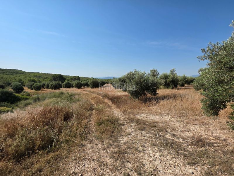 Foto a07b46ba-07c3-4fd9-b19f-407902583f12. Finca rústica a Moratalla