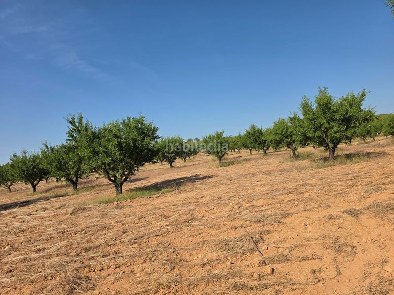 Foto c2116383-f4d3-4c88-9292-06158843f82d. Finca rústica a Moratalla