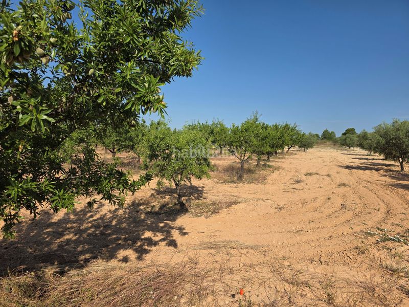 Foto 400dacef-02da-4ef9-924e-5ae3f299ecdf. Finca rústica en Moratalla