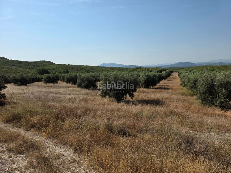 Foto d2fd8b1a-3f55-45a6-b5c1-fa691eb74fa9. Finca rústica en Moratalla