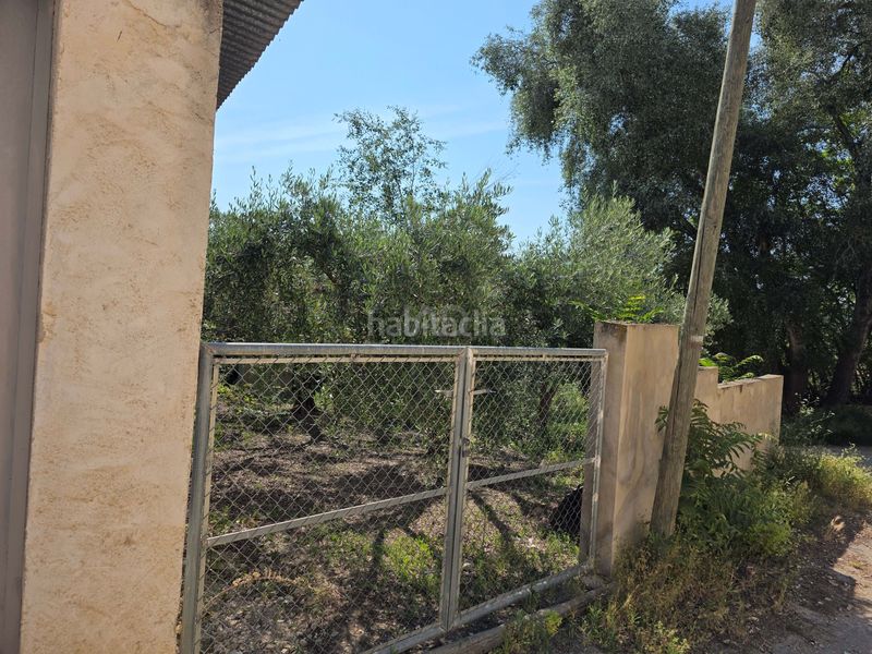 Foto fb4f2b4d-a5c1-45fe-85ea-c0de43b8d82a. Finca rústica en Moratalla