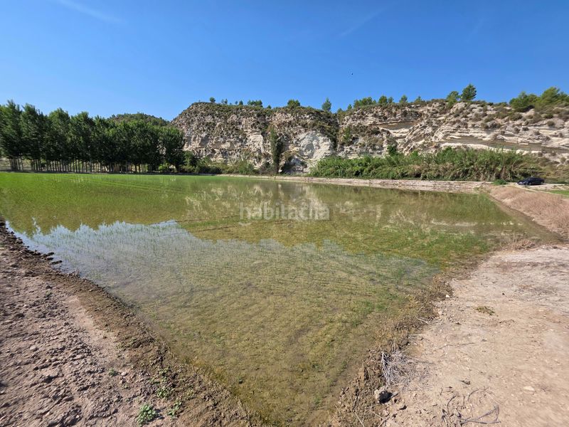 Foto fb804686-9878-4a2c-a3d0-230726cff30a. Finca rústica en Moratalla