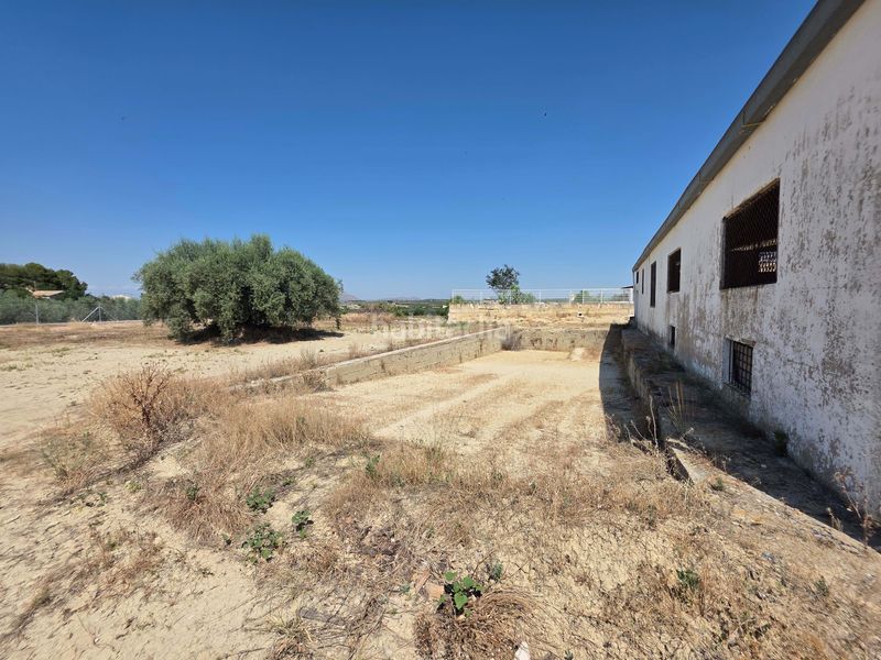 Foto 4a8c440b-3cc1-4e52-9207-10ff0ab58b03. Terreny residencial a Cehegín