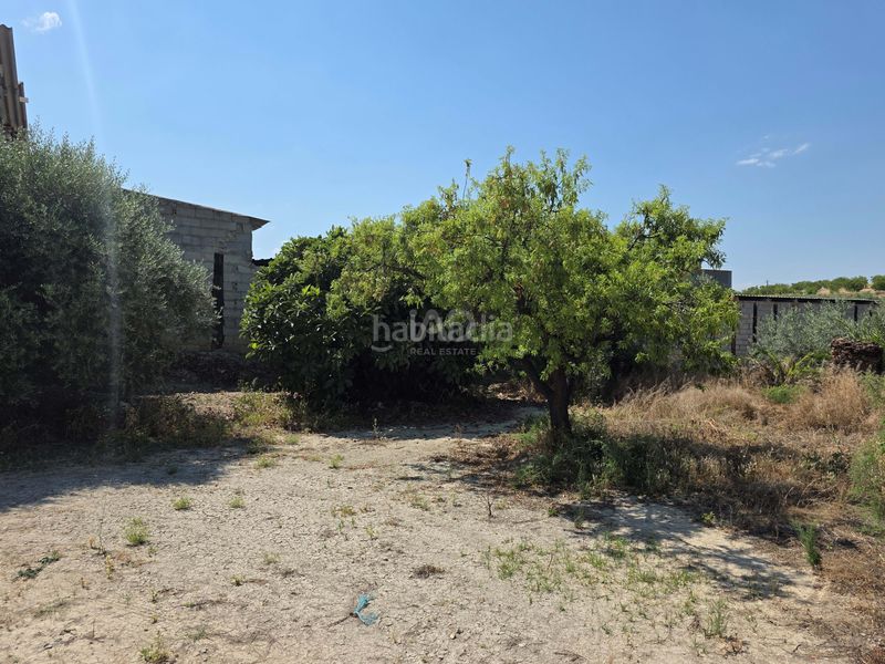 Foto 5b178ec2-7dbe-456f-8e4d-0d59b27eb425. Terreny residencial a Cehegín