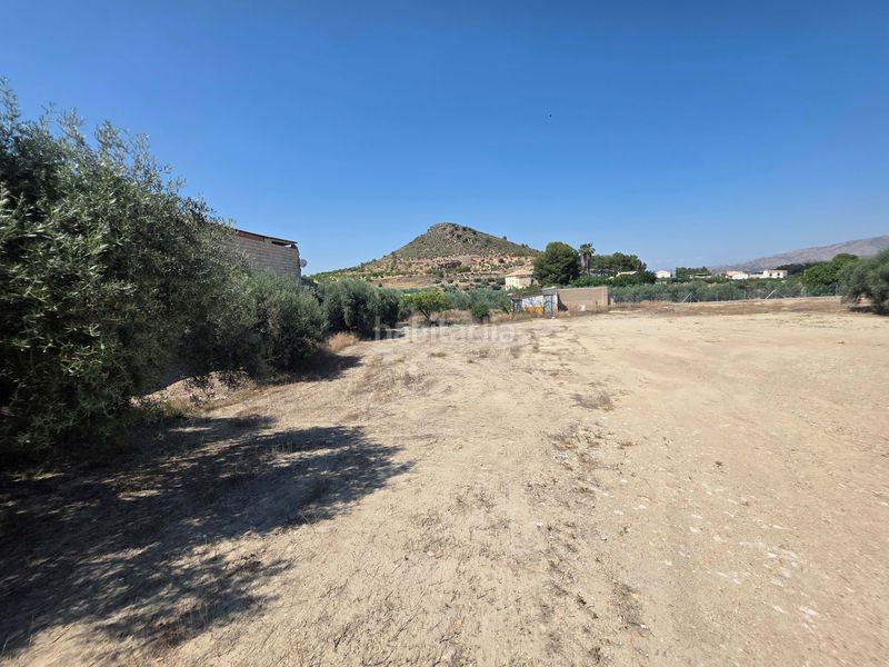 Foto e1874a82-a7fe-48bc-b71f-004ac487d430. Terreny residencial a Cehegín