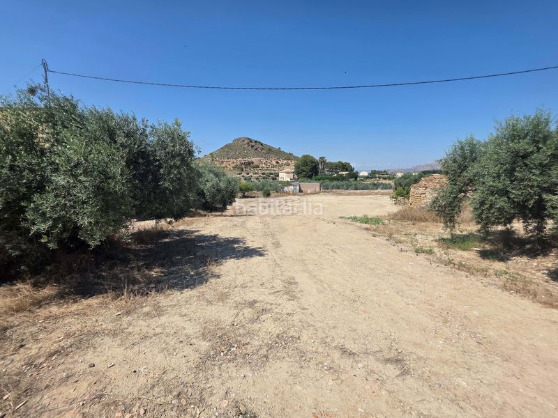 Foto f7ecbf55-9ad0-4503-b02f-7be33797ffe0. Terreny residencial a Cehegín