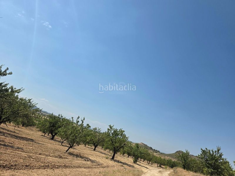 Foto 4375b7ef-2544-482c-a63d-9e2e0c76559b. Terreny residencial a Cehegín