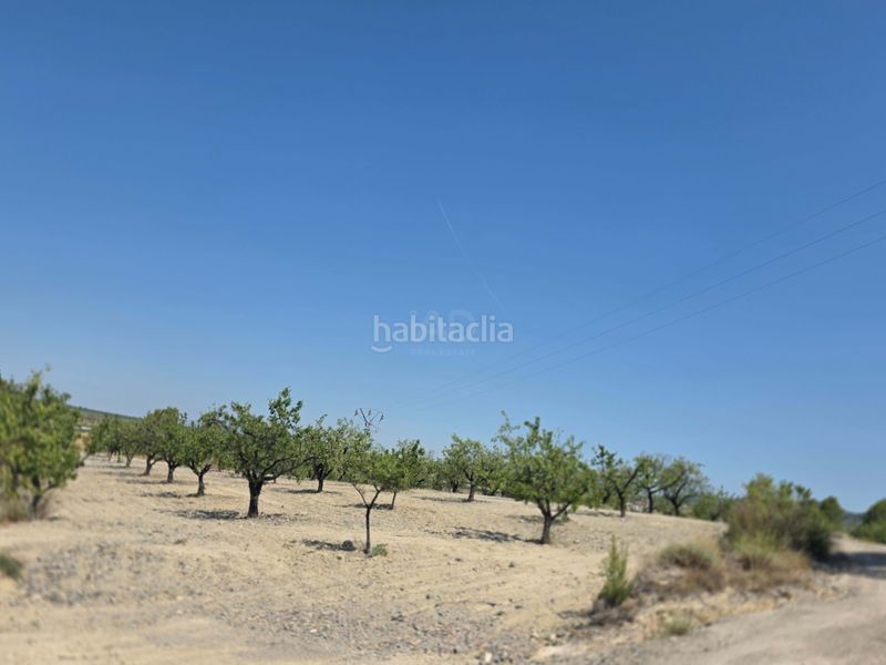 Foto 45347d3c-64fd-4f30-b743-0741a1327ec8. Terreny residencial a Cehegín