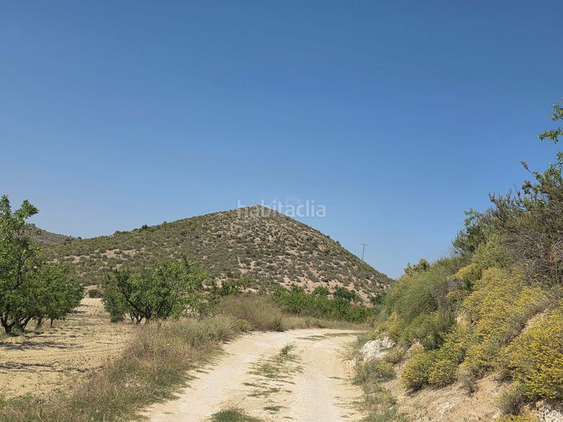Foto b90ba5f8-09ba-44da-b7bb-f87d6fc664c6. Terreny residencial a Cehegín