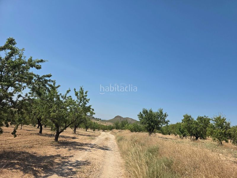Foto c802cd4a-e919-4324-ad87-88a85f5edce7. Terreny residencial a Cehegín