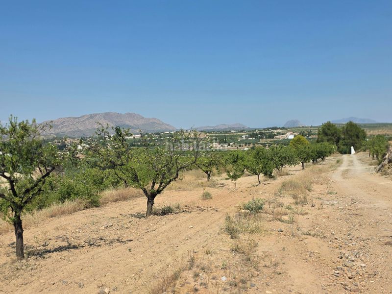 Foto f8413a16-881d-4ef8-aa03-9a37824f4372. Terreny residencial a Cehegín