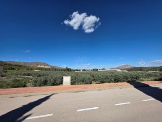 Residential Plot in Calasparra