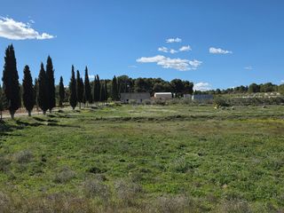 Fondo rustico in Calasparra