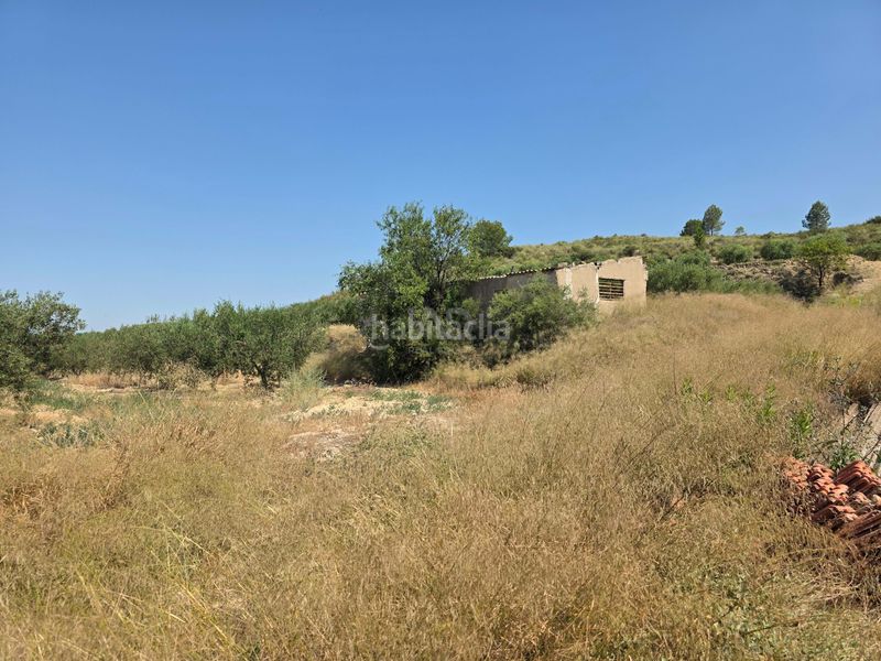 Foto 88c13290-950f-40ea-98a6-b0b1c8143d7e. Finca rústica a Calasparra