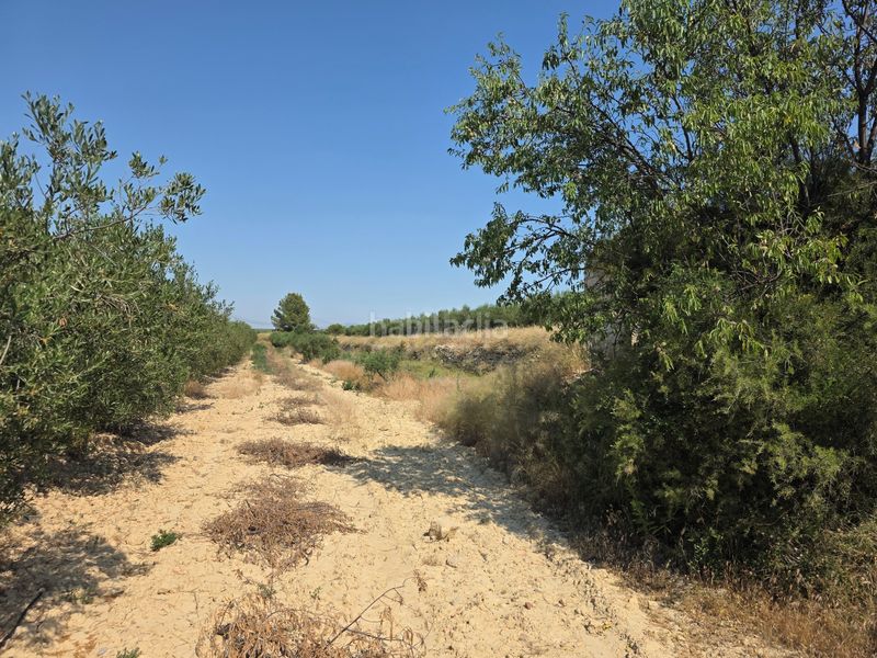 Foto e25cdb77-2e5a-4d0b-ad7c-59b7a1233c75. Finca rústica a Calasparra