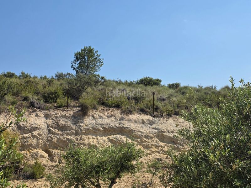 Foto fd9a34ff-f83c-40dc-9897-0e6045d699a4. Finca rústica a Calasparra