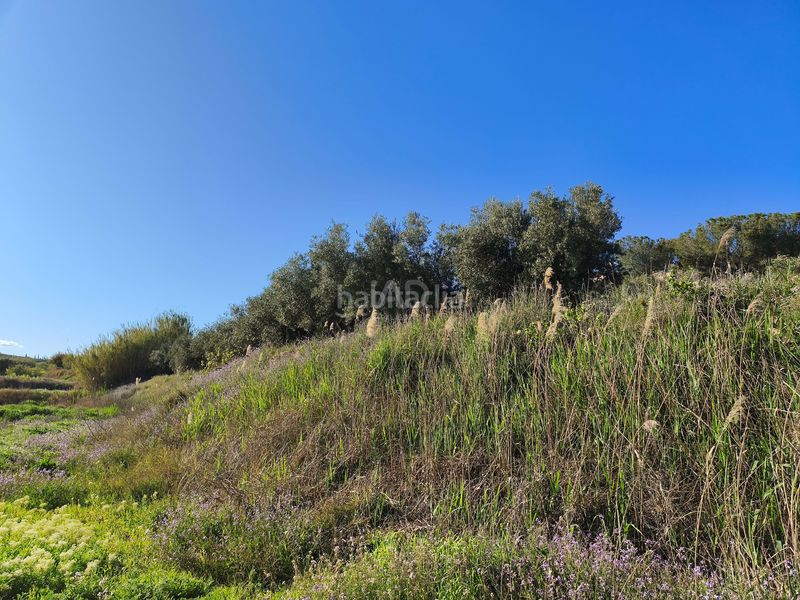 Foto 9320e5ce-38d6-4338-85aa-deb63d3d20e4. Finca rústica a Cehegín