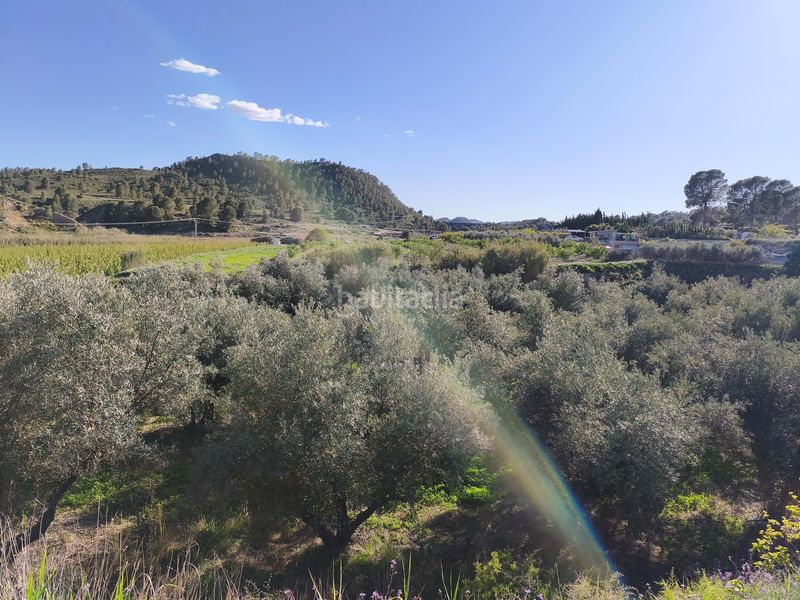 Foto c33400ab-b67a-44a3-a210-30d8d76e9807. Finca rústica a Cehegín