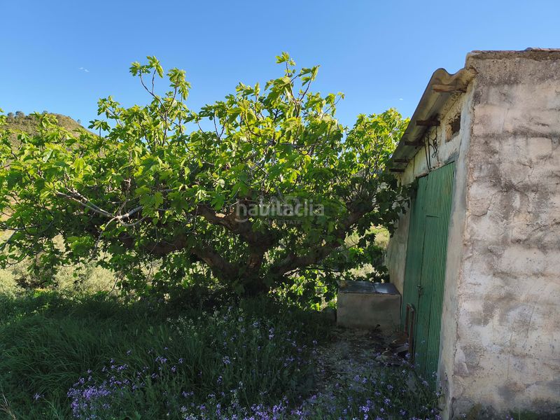 Foto d807dd62-0ec2-4692-9e29-0fa66468d857. Finca rústica a Cehegín