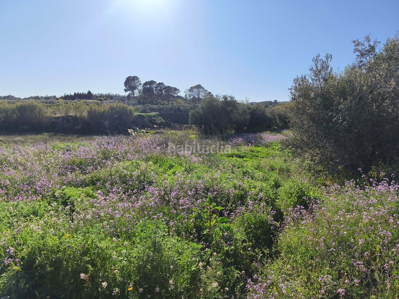 Foto e70a0977-bfc8-4fcf-8a52-434b247cf01a. Finca rústica a Cehegín