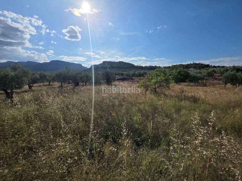 Foto c441fdd0-2343-4ce8-88e9-7bb1746140c0. Finca rústica a Socovos