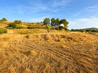 Rural plot in Calasparra