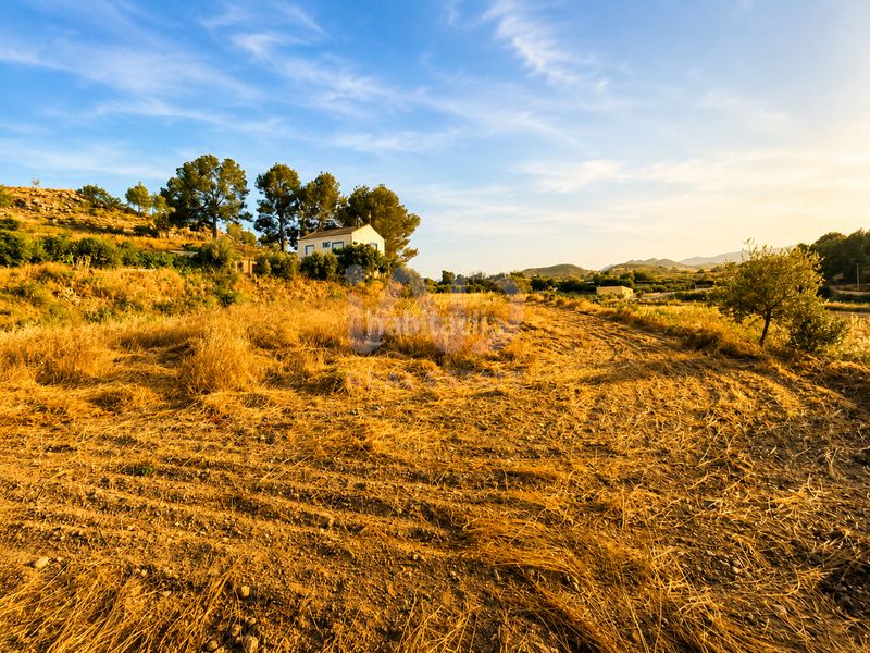 Foto 4d4dcb74-697a-4693-95b2-ae606283665a. Finca rústica a Calasparra