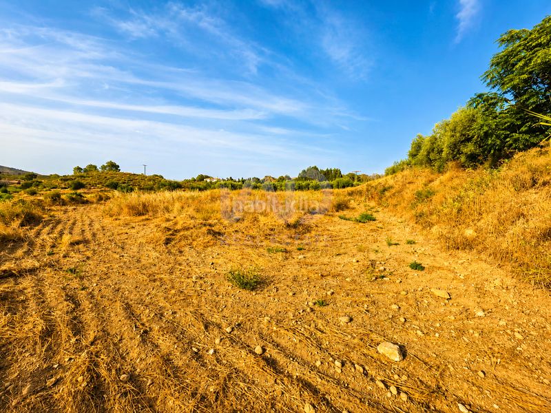 Foto e1497e98-d7a7-471f-a158-3d074dea7016. Finca rústica a Calasparra