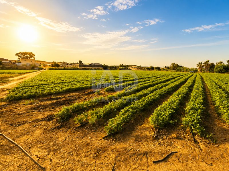 Foto a29c0b40-aa25-4225-af48-456594471ba3. Finca rústica a Calasparra