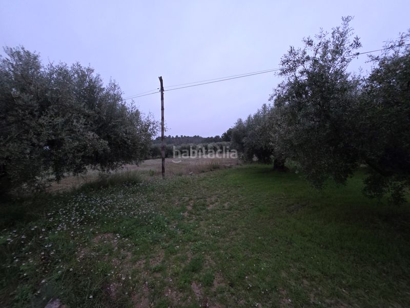 Foto f8edf1ed-e36b-4b82-ab06-12cfe08b36d9. Masia amb aparcament piscina a Moratalla