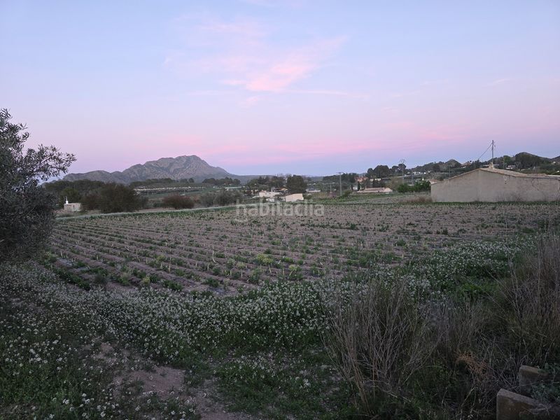 Foto 2bb5d6f9-9fe8-499e-8496-9981799b6c7b. Finca rústica a Calasparra
