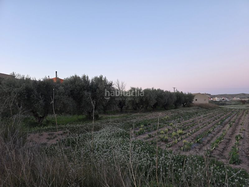 Foto 46e7aedd-e2f3-48eb-8d87-976323bc93a6. Finca rústica a Calasparra