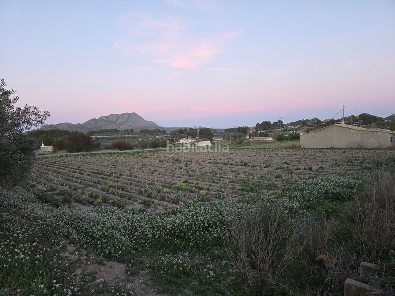 Foto e7b06a6d-93f6-47be-8653-bc3c5fa7e2bb. Finca rústica a Calasparra