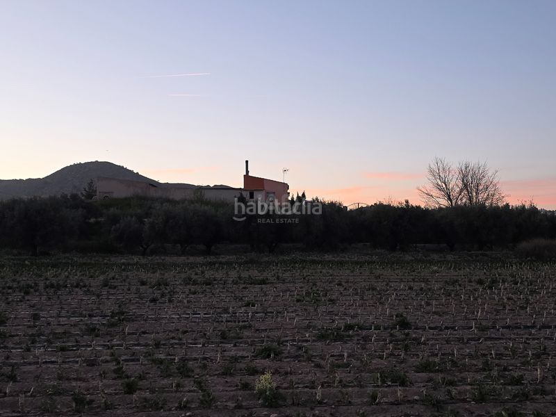 Foto fc07623a-d767-463a-a50f-600b44a81cf7. Finca rústica a Calasparra